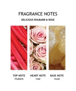 Molton Brown Just In Delicious Rhubarb & Rose Fine Liquid Hand Wash 300ml 7 Molton Brown Just In Delicious Rhubarb & Rose Fine Liquid Hand Wash 300ml