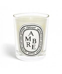 Diptyque Ambre Candle Medium Just In