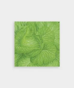 Caspari Cabbageware Paper Cocktail Napkins Just In