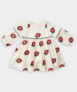 Pink Chicken Just In Cecelia Dress In Antique White W/ Floral Embroidery