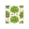 Caspari Citrus Topiaries Paper Cocktail Napkins In White