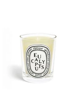 Diptyque Just In Eucalyptus Candle Medium