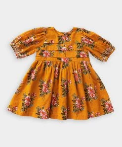 Pink Chicken Just In Evelyn Dress In Inca Gold Franken Floral