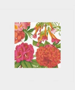 Caspari Jefferson's Garden Study Paper Cocktail Napkins In White Home & Beauty