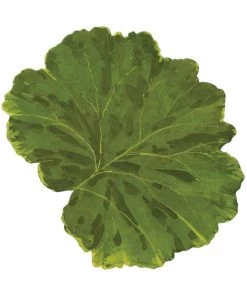 Caspari Leaf Die-Cut Coasters - Set Of 4 Just In