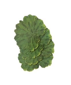 Caspari Leaf Die-Cut Coasters - Set Of 4 Just In