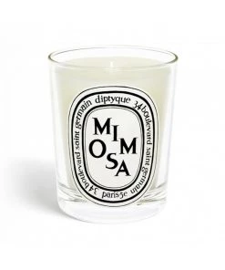 Diptyque Just In Mimosa Candle Medium
