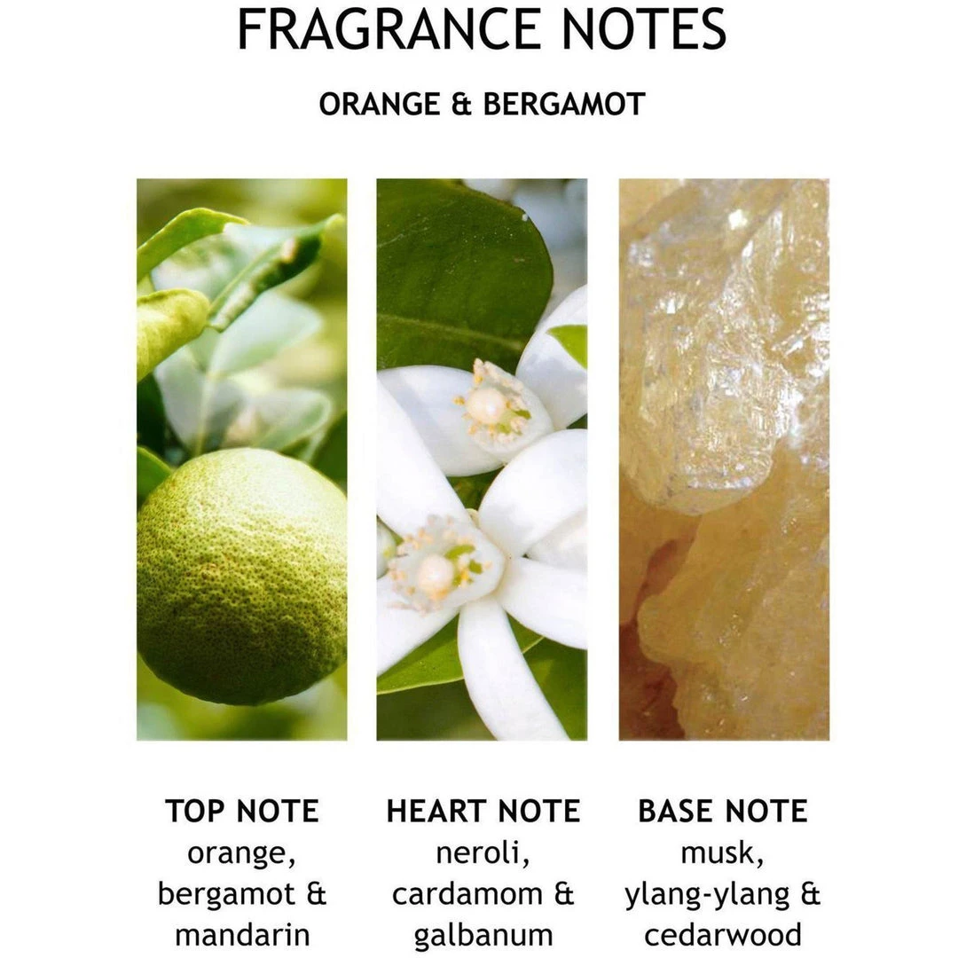 Molton Brown Just In Orange & Bergamot Body Lotion 300ml 4 Molton Brown Just In Orange & Bergamot Body Lotion 300ml