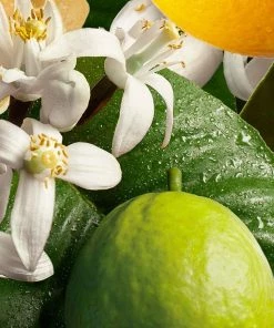 Molton Brown Orange & Bergamot Fine Liquid Hand Wash 300ml