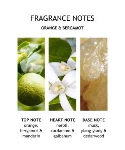 Molton Brown Orange & Bergamot Fine Liquid Hand Wash 300ml