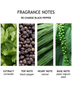 Molton Brown Re-charge Black Pepper Body Lotion 300ml