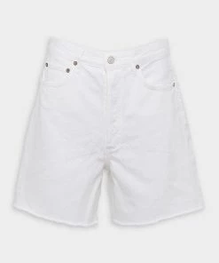 AGOLDE Stella High Rise Short In Risk Just In